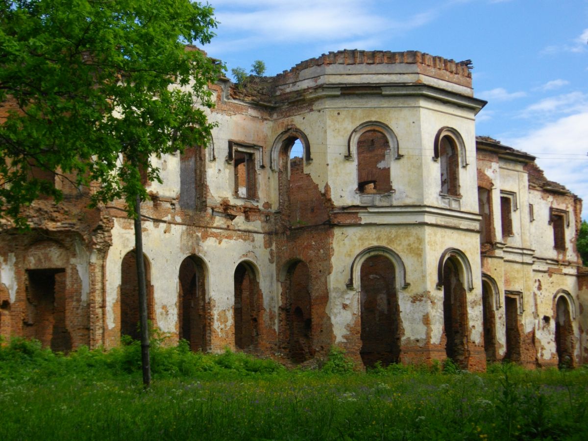 Дворец в гостилицах фото